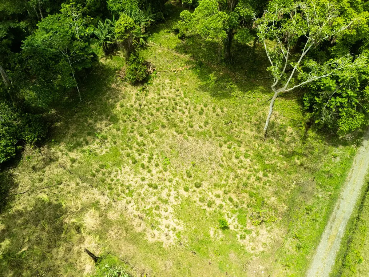 ID 1134: 3960m² Flat Development Lot Near Cahuita, Costa Rica
