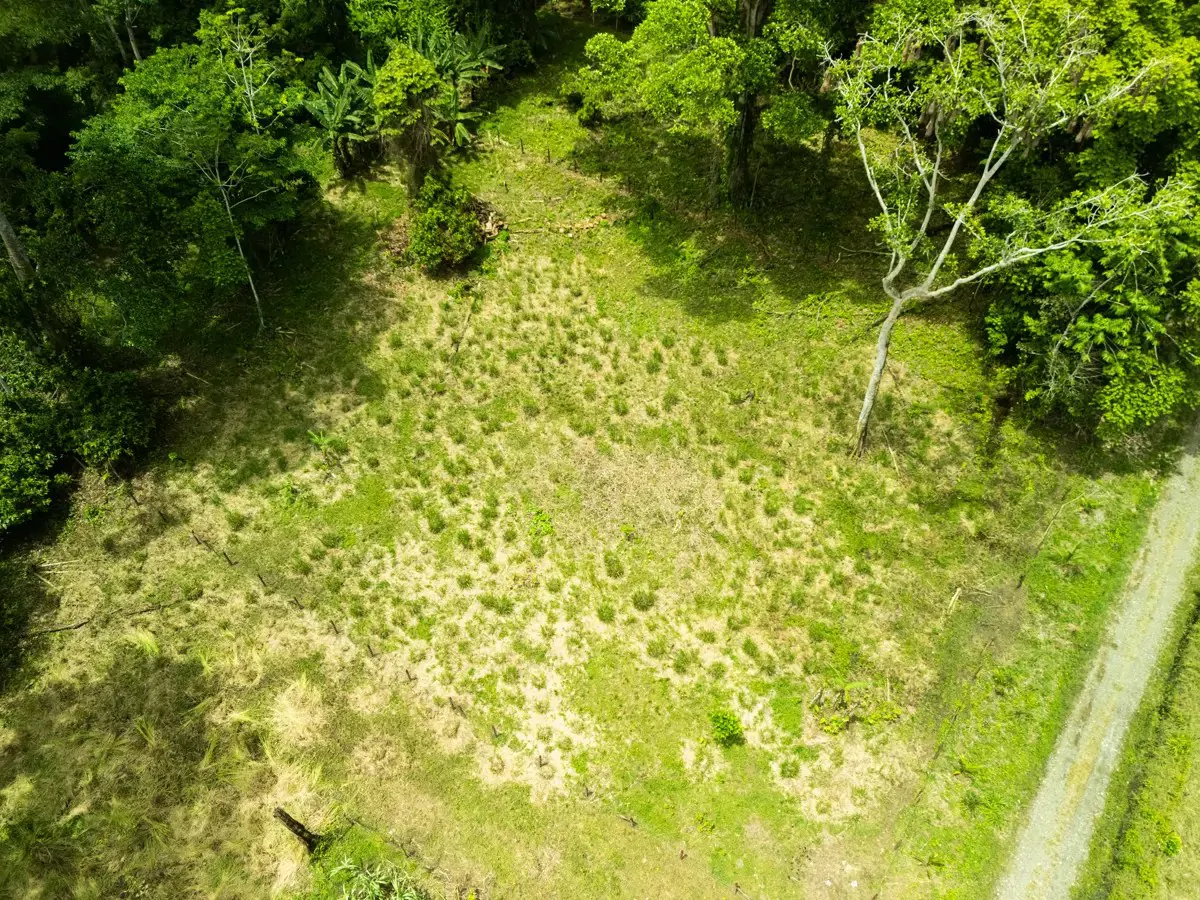 ID 1134: 3960m² Flat Development Lot Near Cahuita, Costa Rica