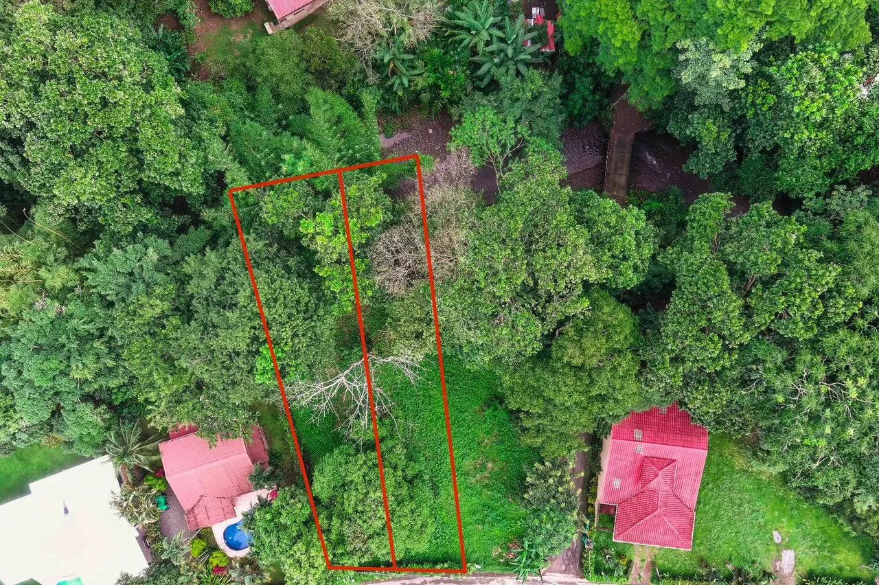 Your Slice of Paradise in Central Pacific Costa Rica! - Gallery image 3
