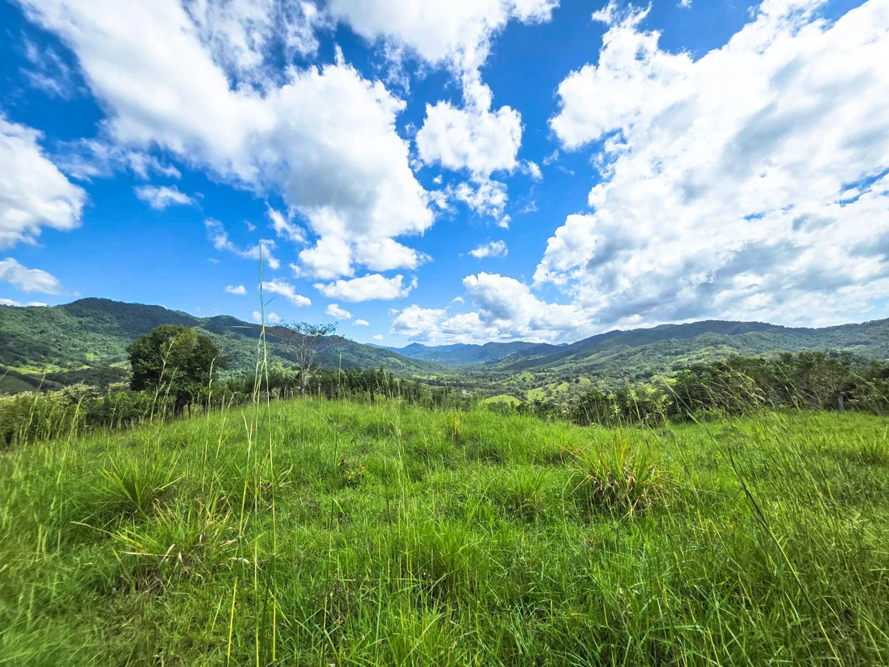 35 Acre Finca - A Natures Lover Or Developers Dream With Stunning Views - photo 11