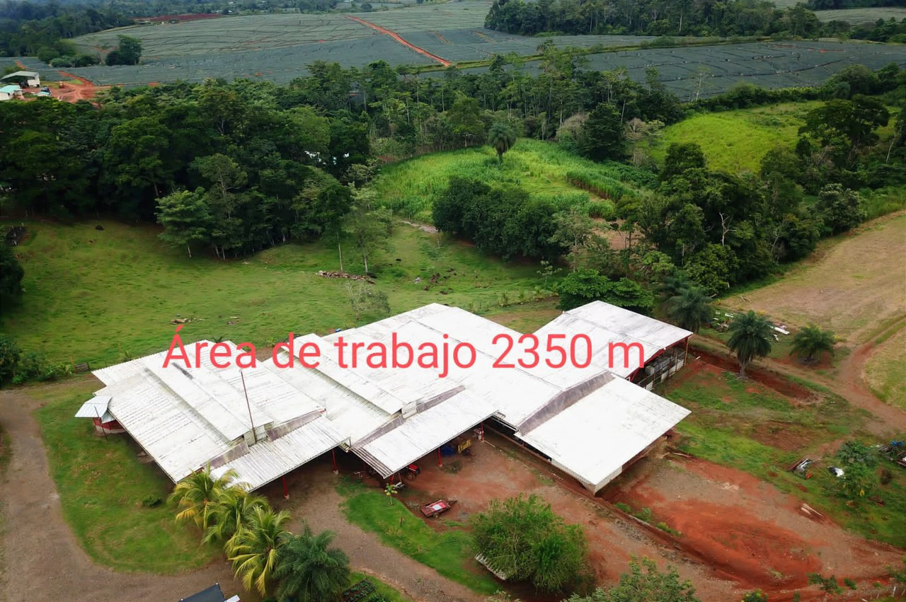 Professional Milk Factory for Sale with a big house in the mountains of Bijagua Costa Rica - Gallery image 2