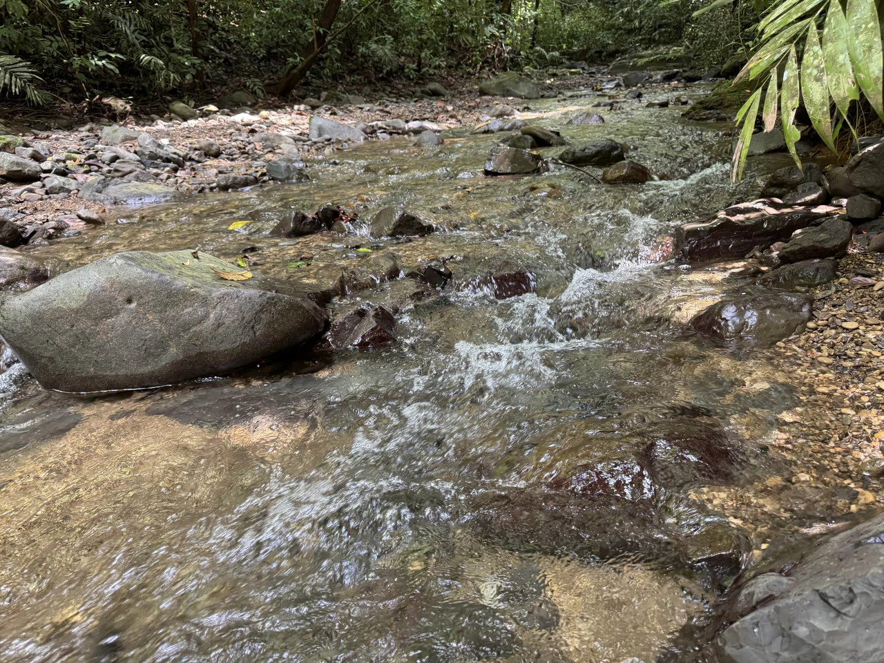 23.5 Acre Waterfall & Riverfront Estate Bahia Ballena Osa Peninsula - Gallery image 18