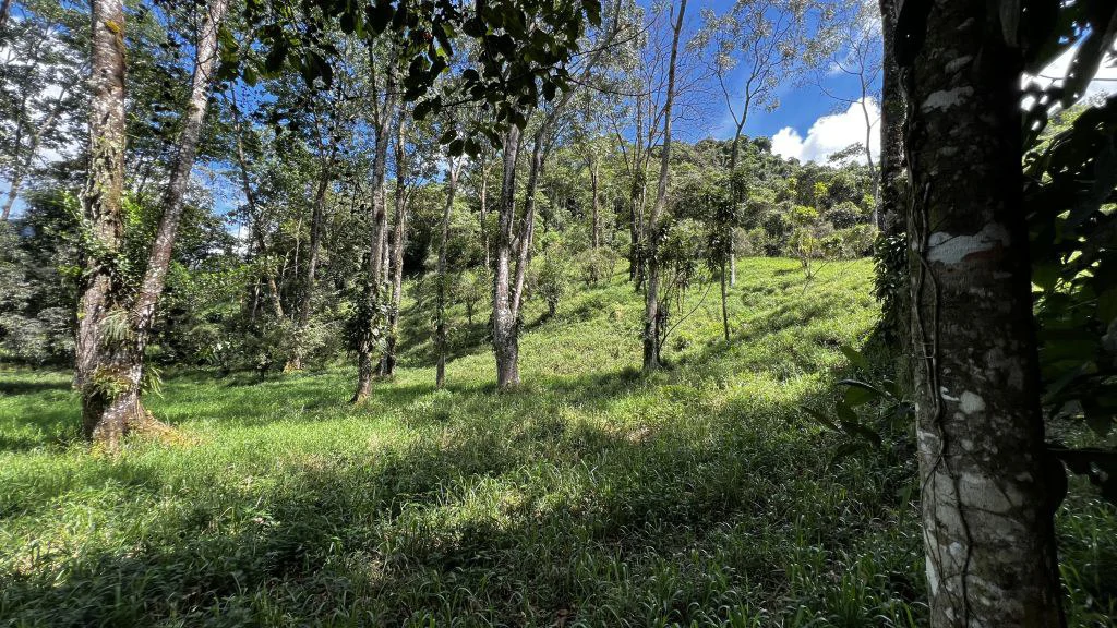 Mountain Home Construction Site For Sale in Guadalupe - photo 4