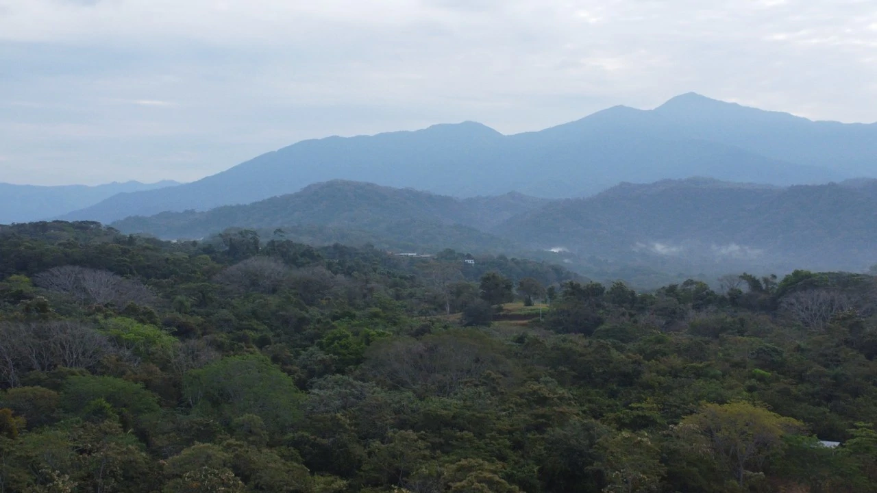 Costa Rica Ocean View 162 Acres -2 Approved Wells - 300+ Lots- 18M+ Upside - Under $5M² - Gallery image 8
