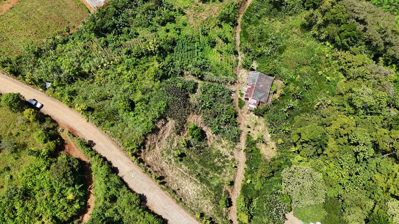 LOTE EN RIVAS: Mountain Agricultural Land For Sale in San Isidro del General - Gallery image 5