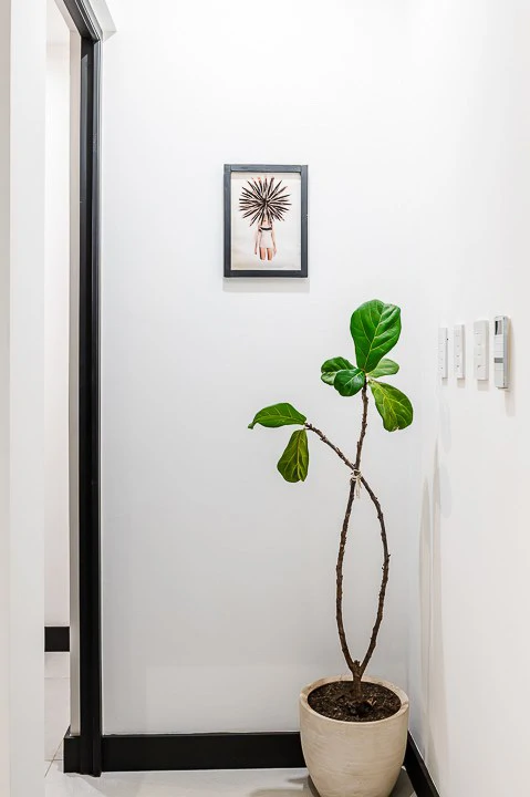 Casa Kalachuchi: Gorgeous Modern Jungle Oasis with Sunset Views in Gated Community - Gallery image 25
