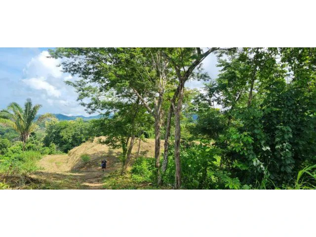 Mountain View property for sale in Samara, stunning 360 nature views land perfect for building - Gallery image 3