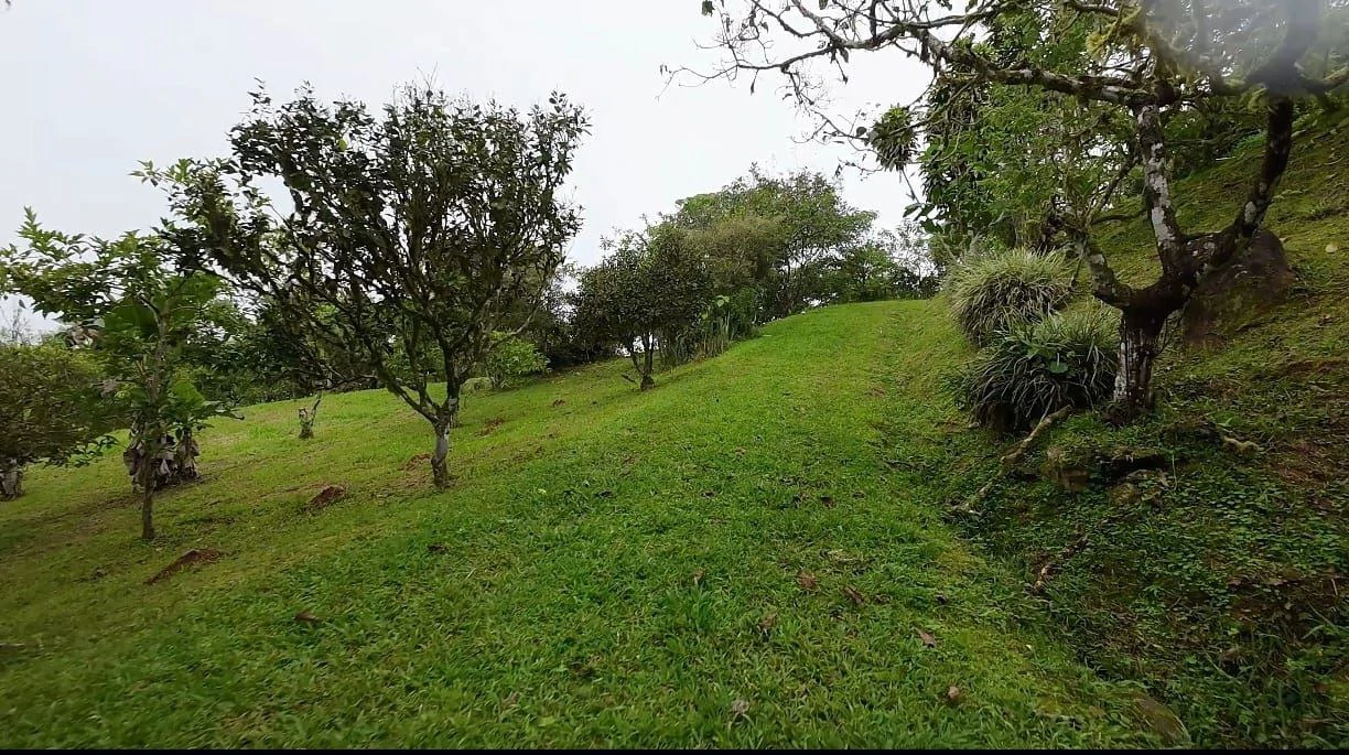 LOTE EN VENTA ALTO SAN JUAN, COSTA RICA: Mountain Home Construction Site For Sale in Barú - Gallery image 12