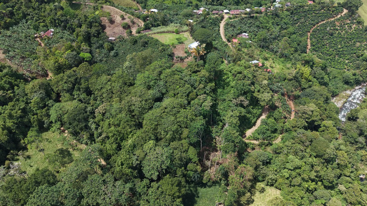 Mountain Home Construction Site For Sale in San Isidro del General - photo 2