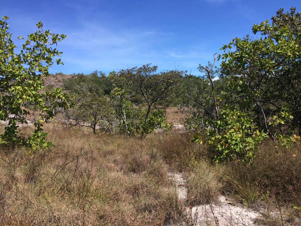 Large Property in Curubandé of Liberia - Gallery image 16