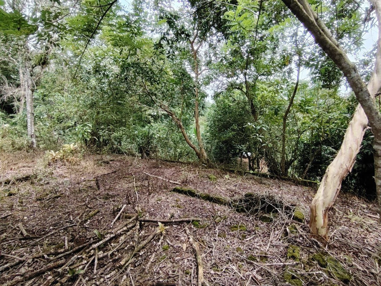 Home Construction Site For Sale in General Viejo - Gallery image 10