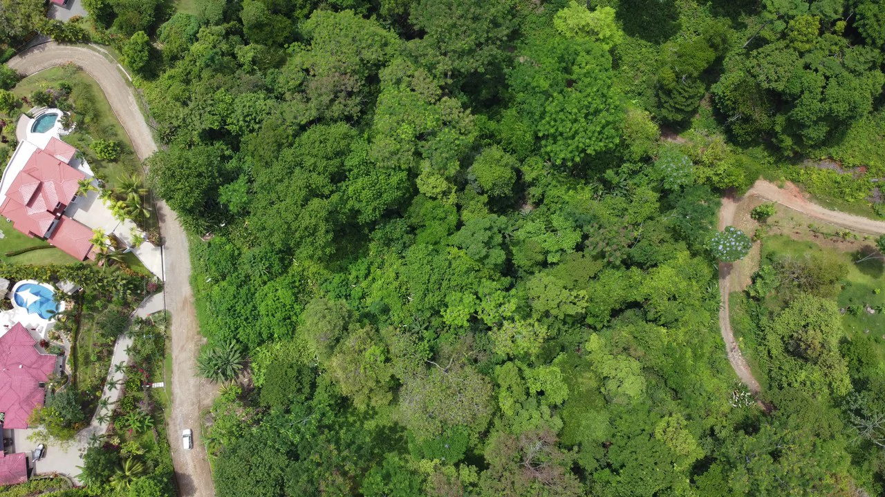 Ojochal - 1 Acre Ready To Build Jungle Lot, Ocean Breezes in Wildlife Corridore - Gallery image 11
