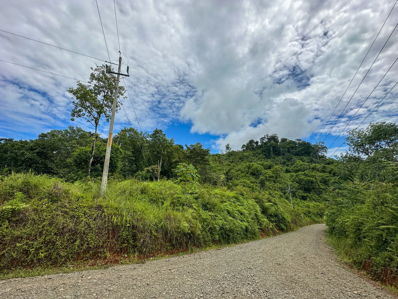 Costa Rican Gem with Conservation Potential: Preserve 26 Acres of Pristine Land - Gallery image 6