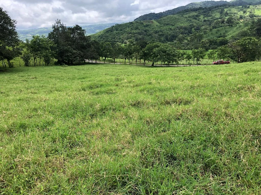Beautiful property with lake view - Arenal - Gallery image 3