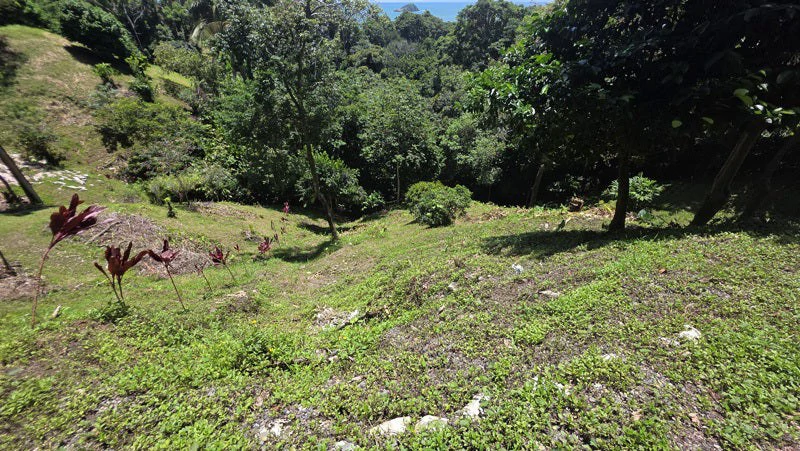 Ocean View Lot in Manuel Antonio Prime Location, Walk to the Beach - Gallery image 3