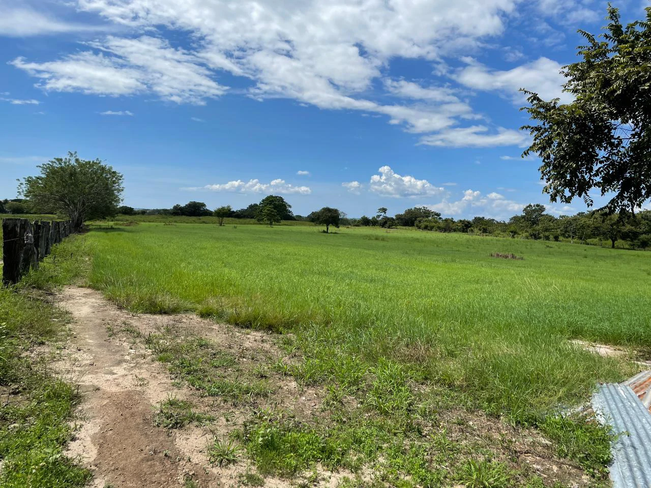 Airport Liberia Top commercial location huge property for sale - Gallery image 10