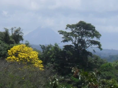 Ideal B & B Property: 3 separate Buildings. Lake & Volcano View. Owner financing available. - Gallery image 7