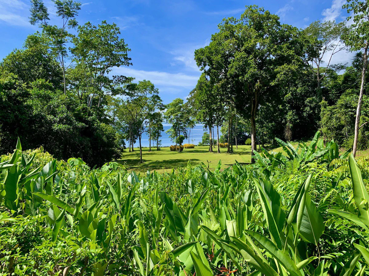 Spectacular Coastal Rainforest Estate Property - Gallery image 10