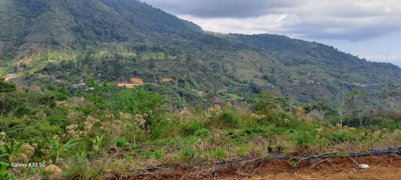 Mountain Paradise: Prime Lot for Sale in San Gerónimo: Mountain Paradise Prime Lot - Gallery image 8