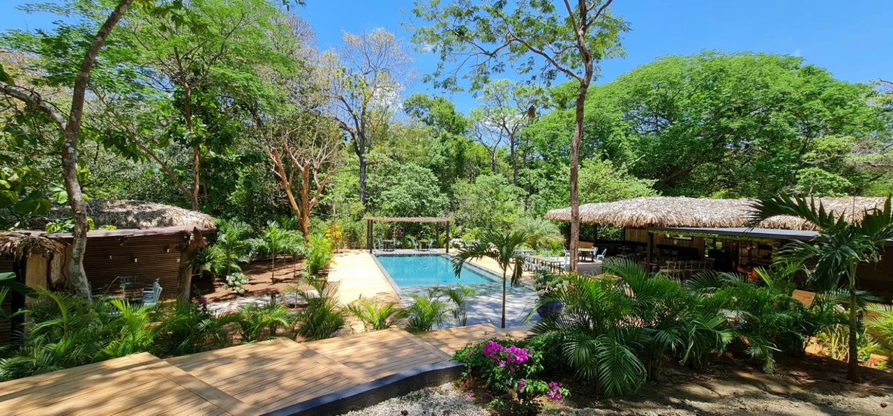 Successful Wellness and Spa with restaurant: One Of A Kind, Successful Wellness, Spa And Restaurant Oasis Close To Tamarindo - Gallery image 24