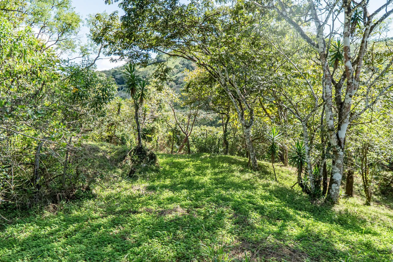Silent Ridge: 2 Hectares With Ocean View - Gallery image 6