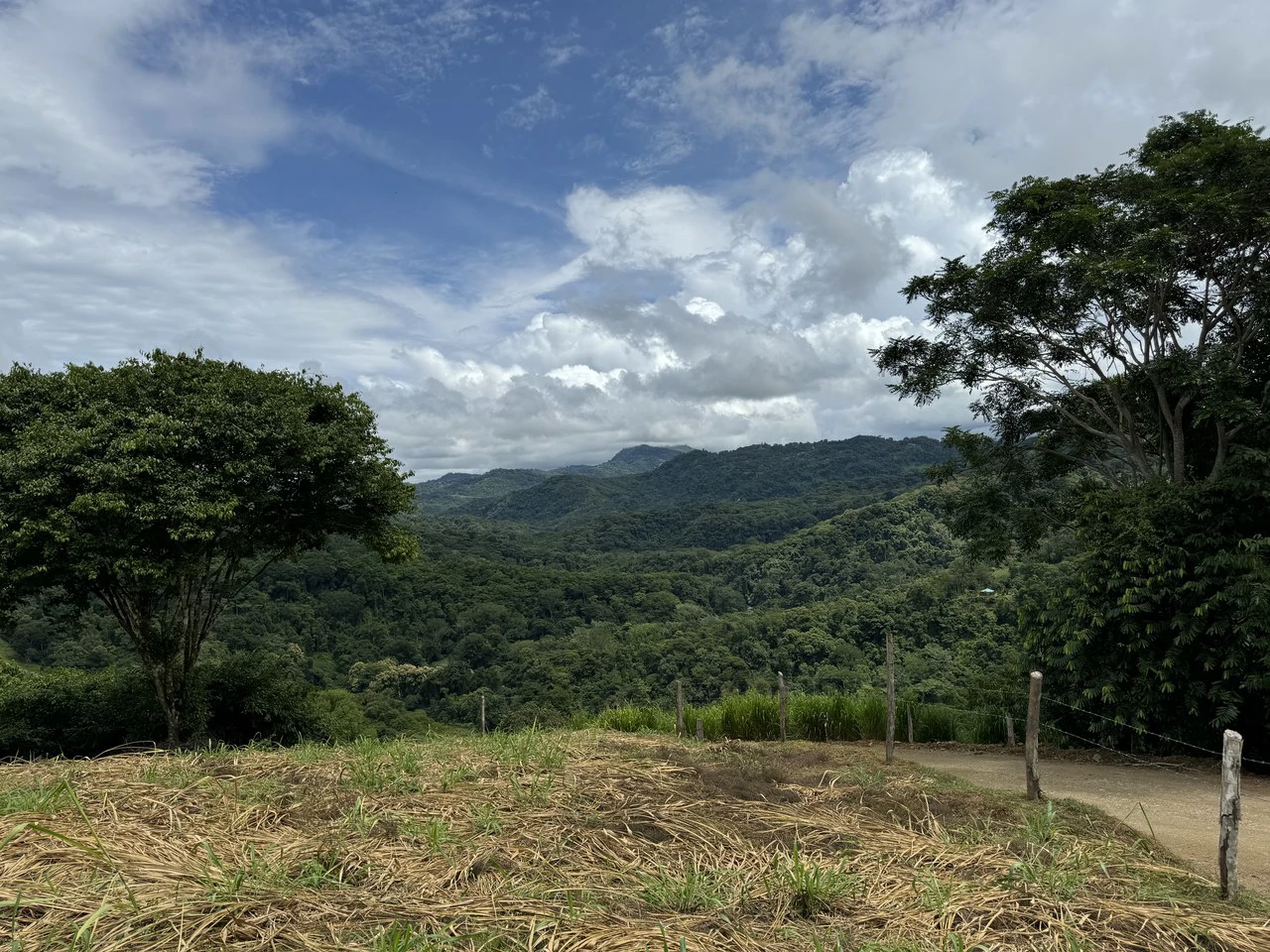 Playa Dominical Mountain Farming Property - Gallery image 17