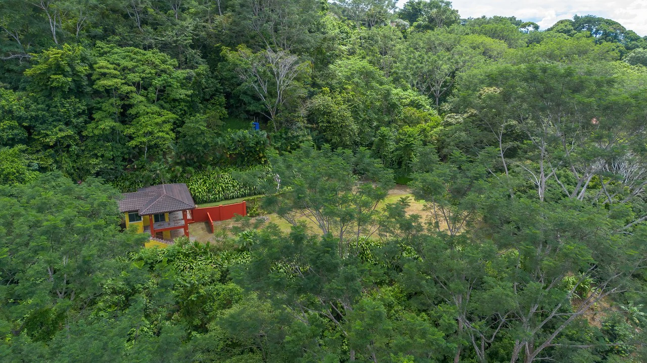 Build-Ready Ocean View Land with Guest House & Fruit Orchard | Tres Rios, Costa Rica - Gallery image 3