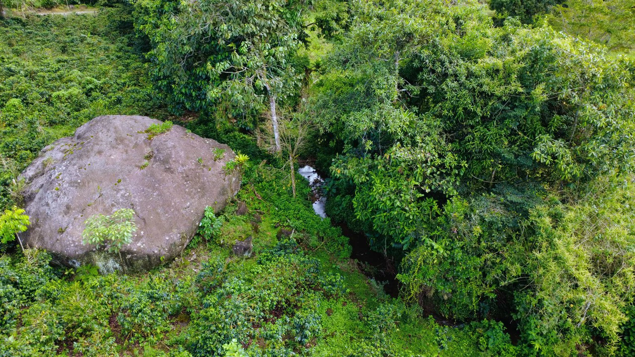 Countryside Agricultural Land For Sale in Santa Elena de San Isidro - Gallery image 2
