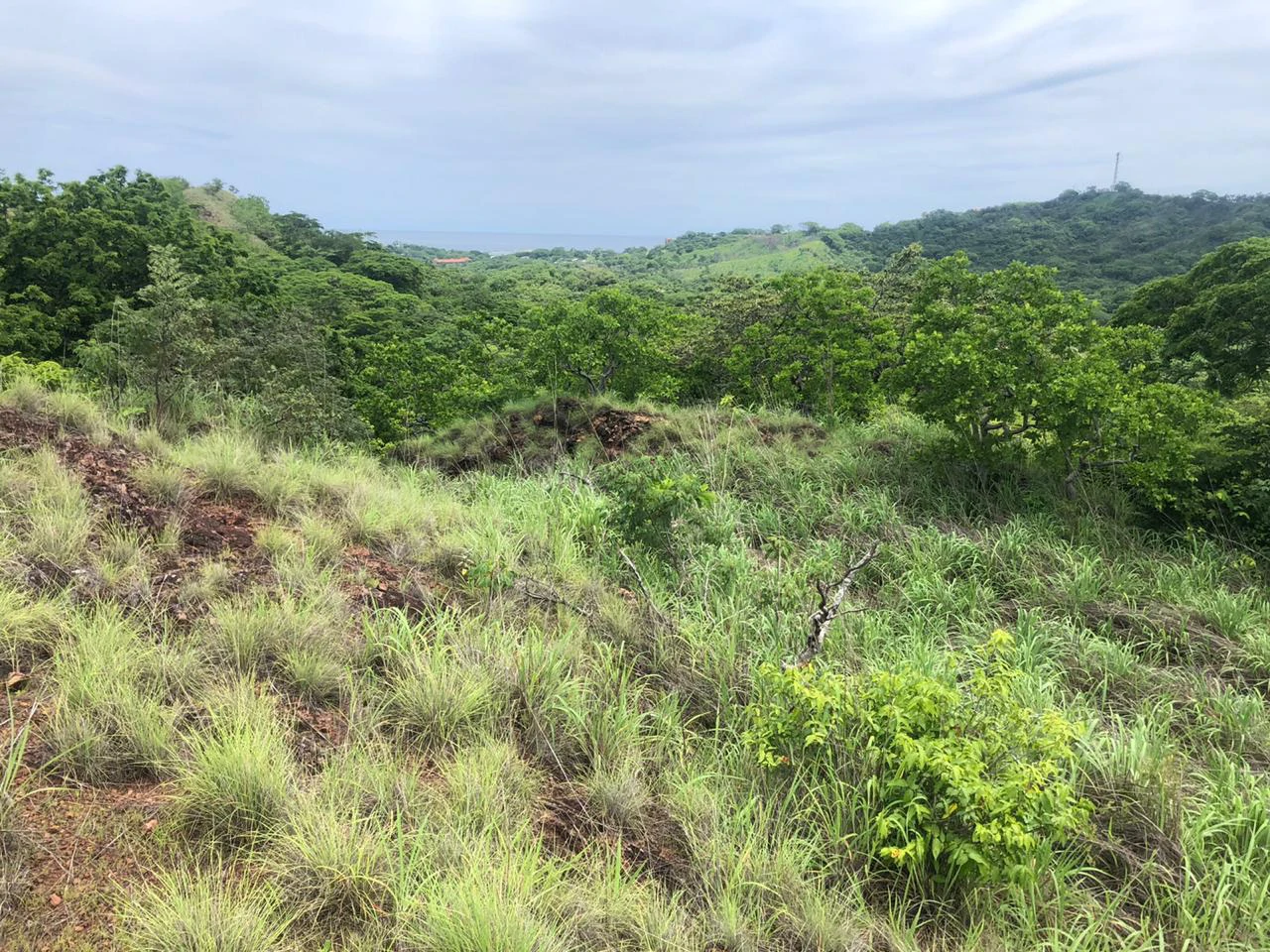 Spectacular private ocean view farm in Tamarindo, Costa Rica - Gallery image 6