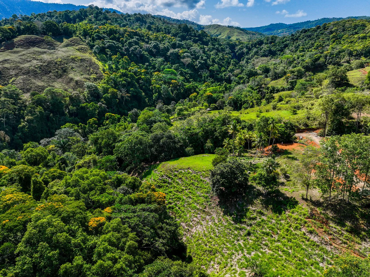 Just Over 3 Acres Riverfront Land in Platanillo Above Dominical - Gallery image 8