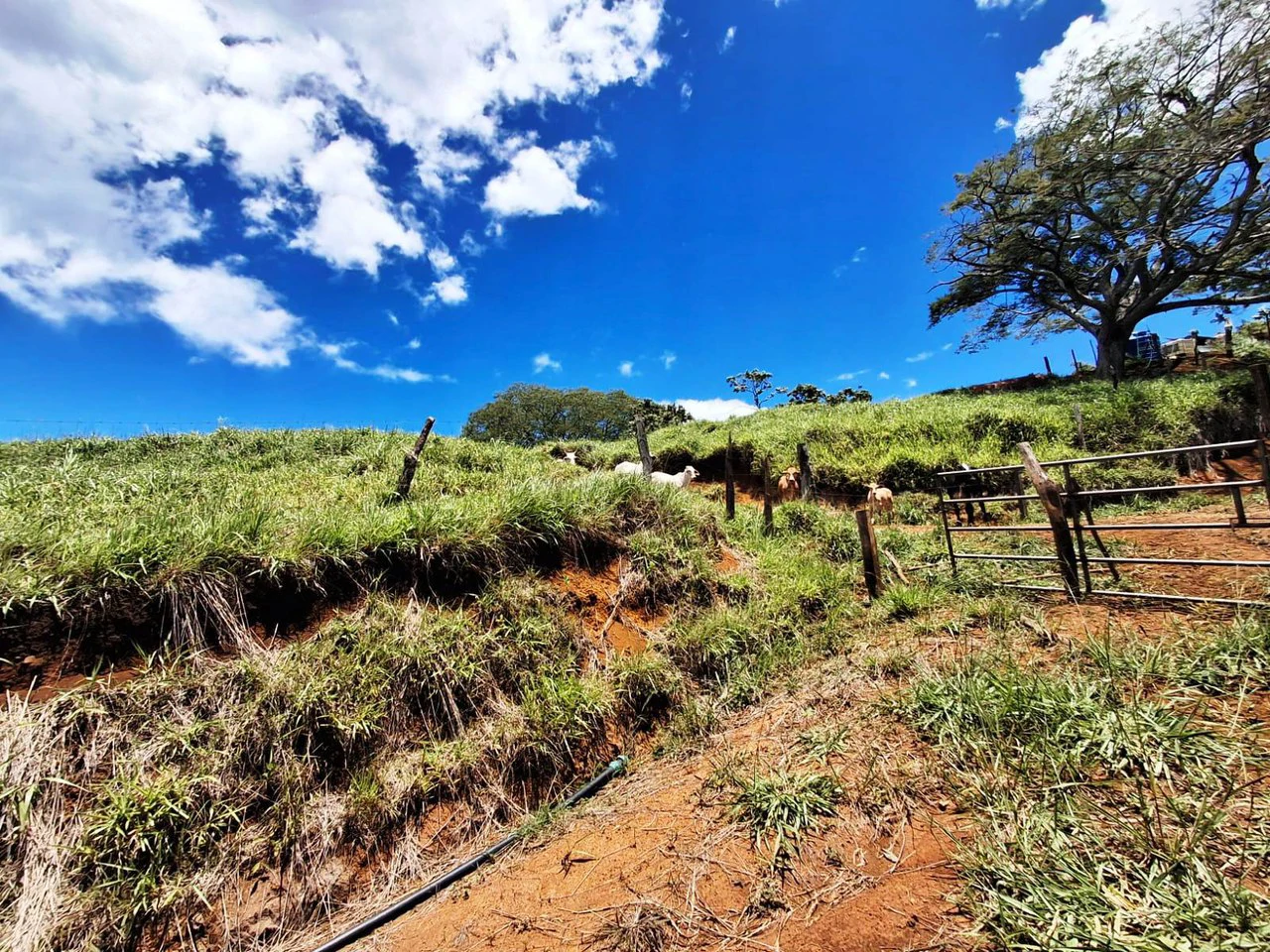 Privacy + Nature: Modern Mountain Cabin on 21.68 Ha! - photo 21