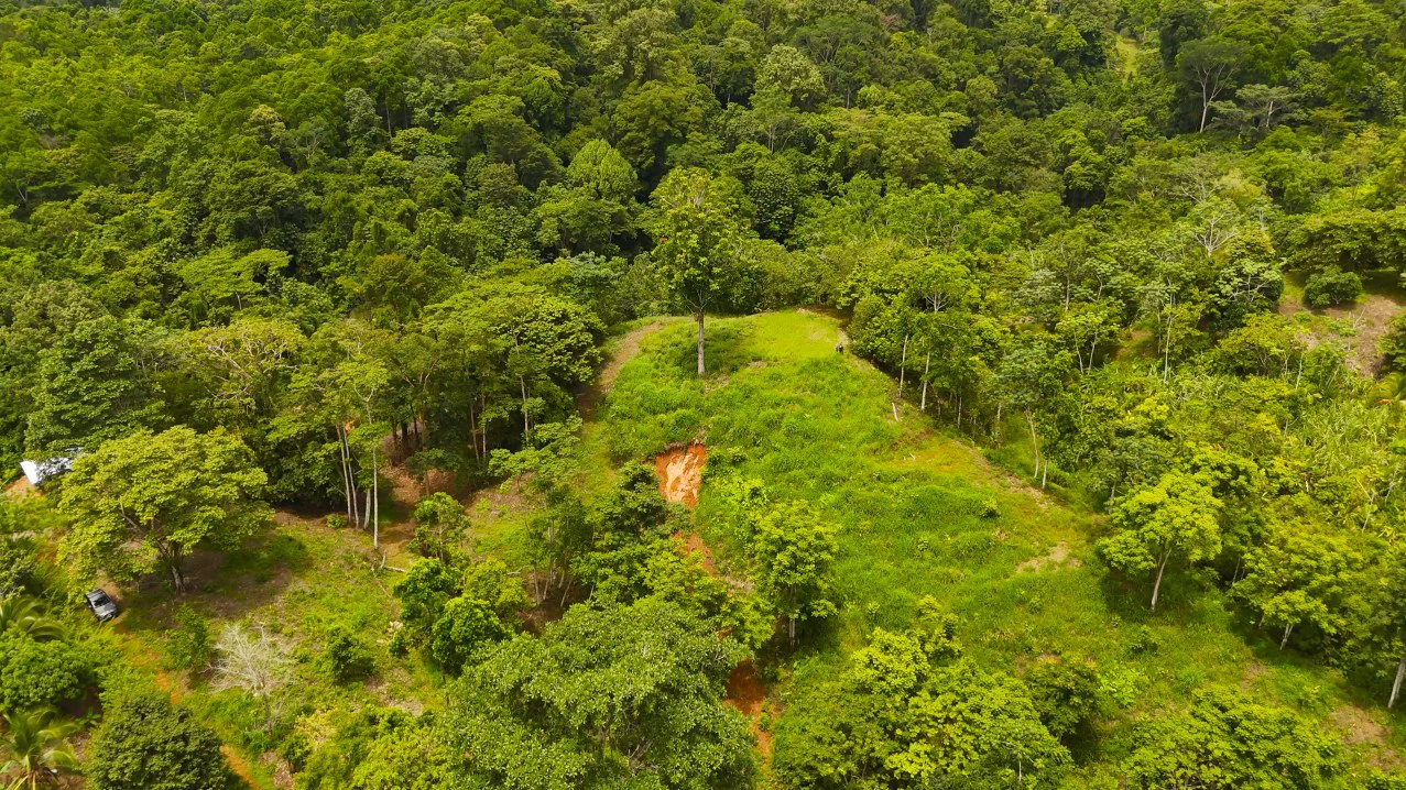 GULF VIEW PROPERTY IN PUERTO JIMENEZ, COSTA RICA - Gallery image 11