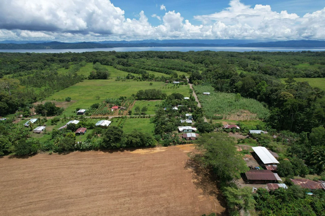 Finca La Palma, Puerto Jimenez: Excellent location ideal for development - Gallery image 14
