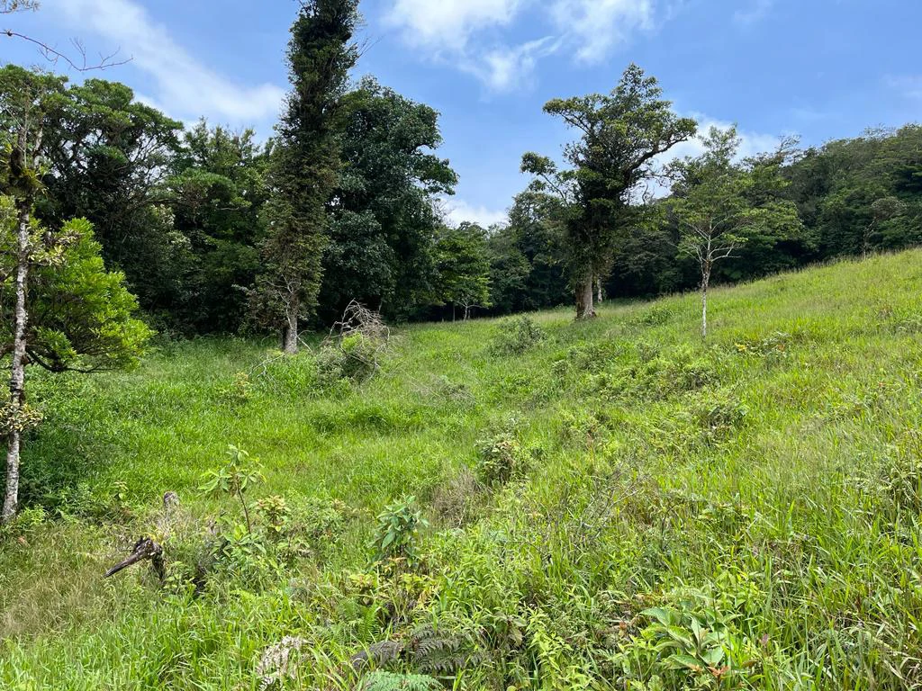 Fantastic property near Biological Reserve - Gallery image 13