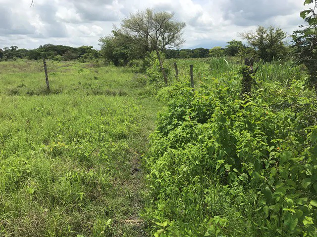 Property close to Liberia and Discovery Park - Gallery image 14
