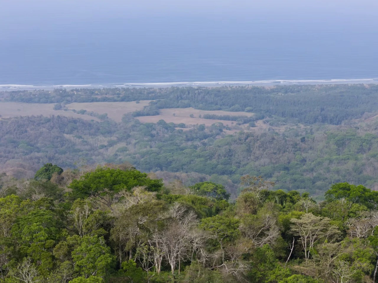 Ocean view farm for sale Costa Rica San Miguel Beach Costa de Oro - Gallery image 13