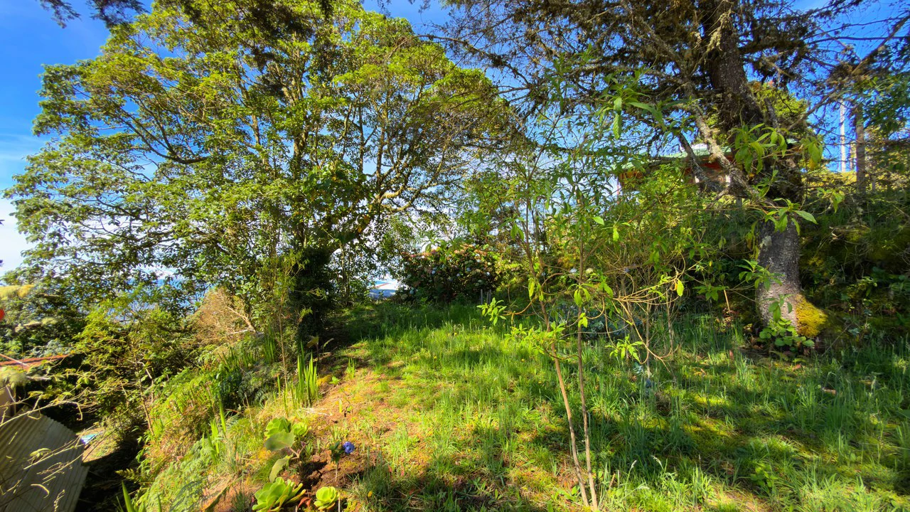 Mountain House For Sale in Division de Páramo - Gallery image 21