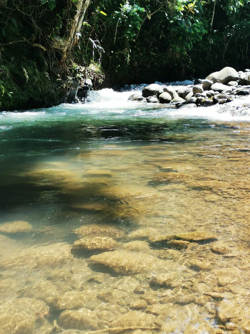 Your Costa Rica Paradise Home: Costa Rica River Paradise Home 3 bedroom - Gallery image 18