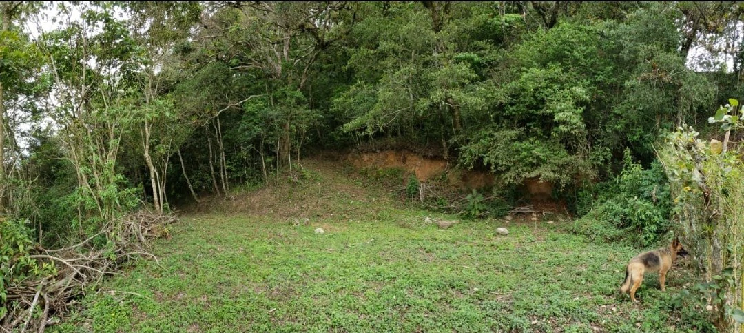Home Construction Site For Sale in Aserrí - Gallery image 6