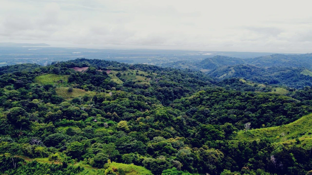 En venta, propiedad en Osa: Mountain Home Construction Site For Sale in Ciudad Cortés
