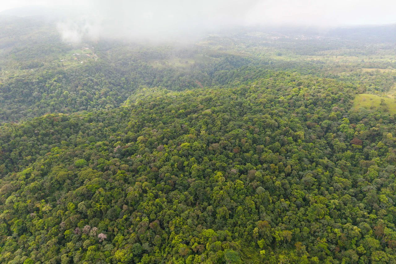Finca Gran Bijagua: Breathtaking 10-Hectare Mountain Sanctuary in Bijagua, Costa Rica - Gallery image 8