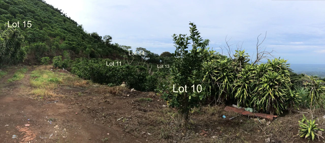 Eco-Lot #11: Ready-to-Build Sustainable Haven with Gulf & Mountain Views - photo 6