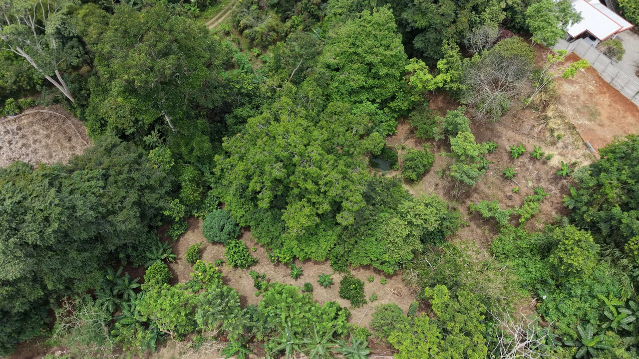 Home Construction Site For Sale in Daniel Flores - photo 11