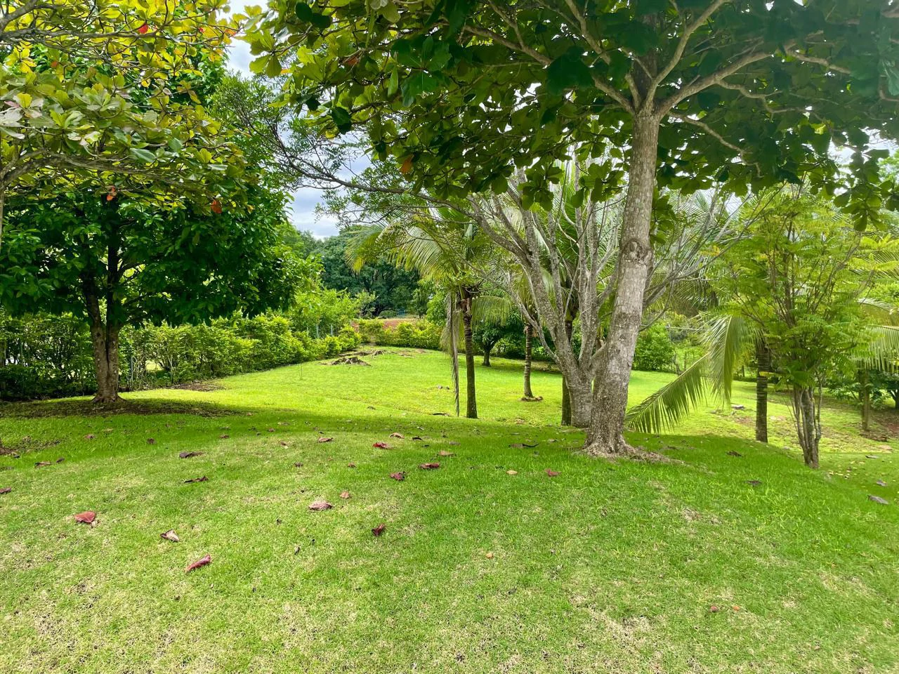 Opportunity Home for Sale in Orotina San Mateo Alajuela Costa Rica - Gallery image 24