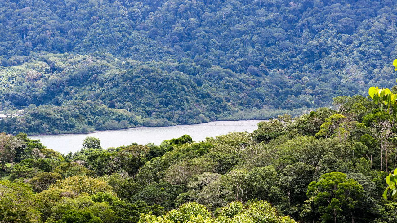 Unique Development Property Overlooking the Pristine Golfito Bay and Golfo Dulce - Gallery image 31