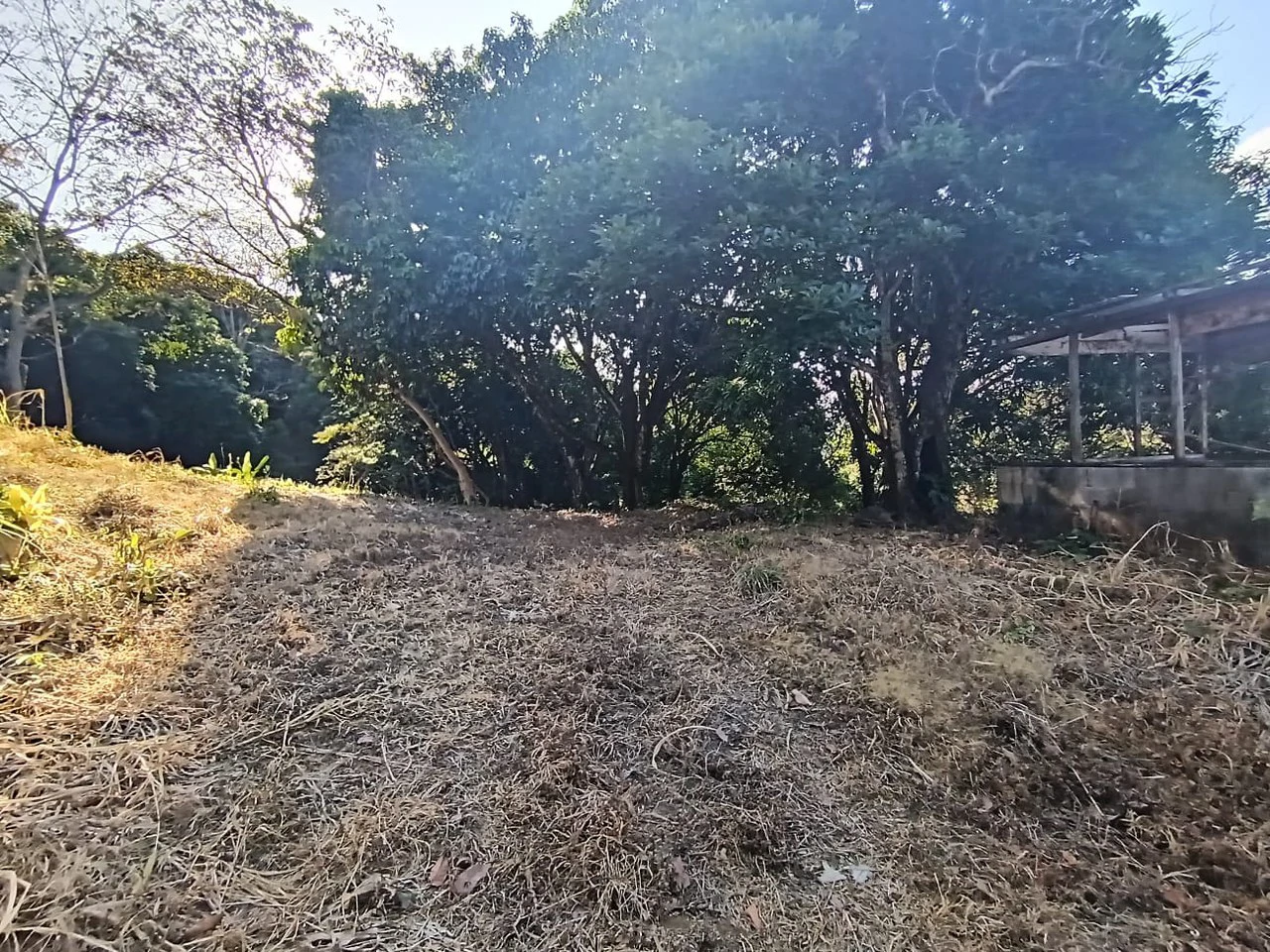 Property for sale in Ciudad Colon San José Costa Rica - Gallery image 3