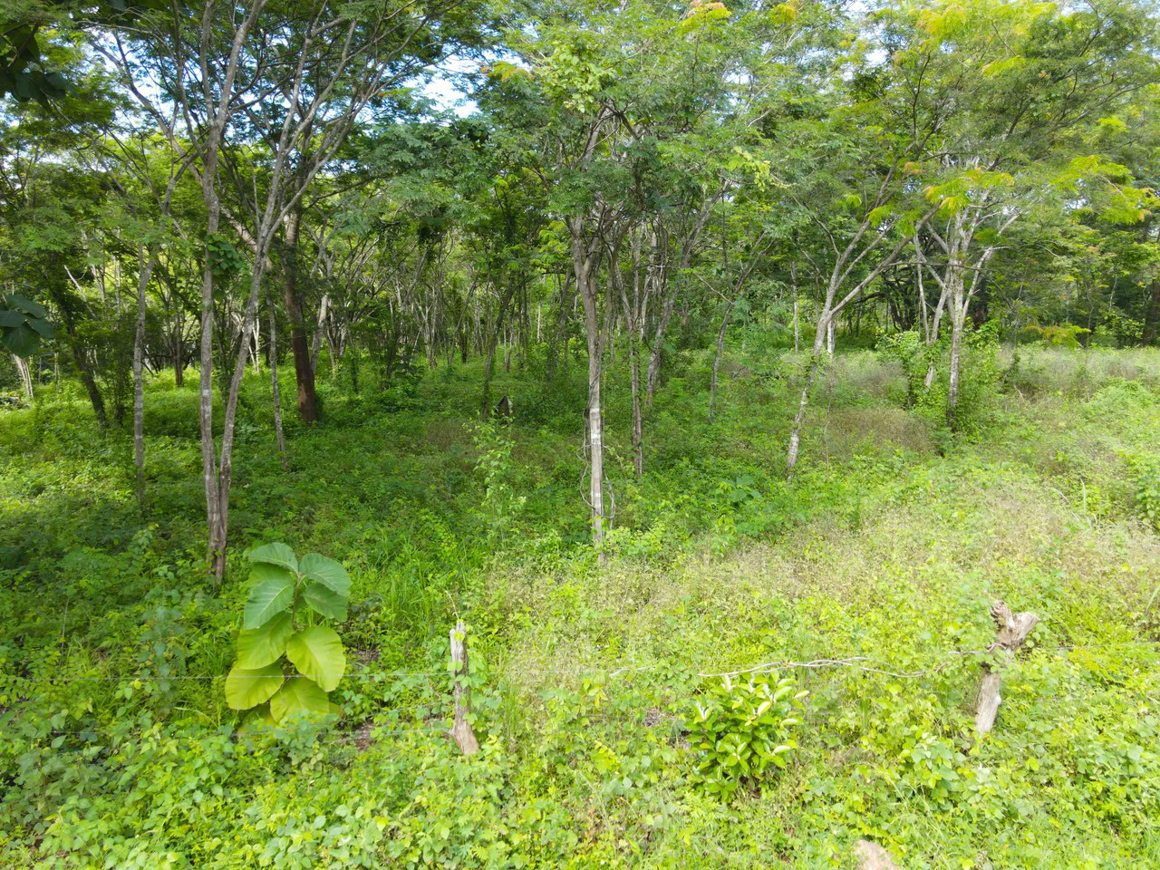 Finca Montecito: Ocean View Development Finca in Playa Avellanas - Gallery image 18