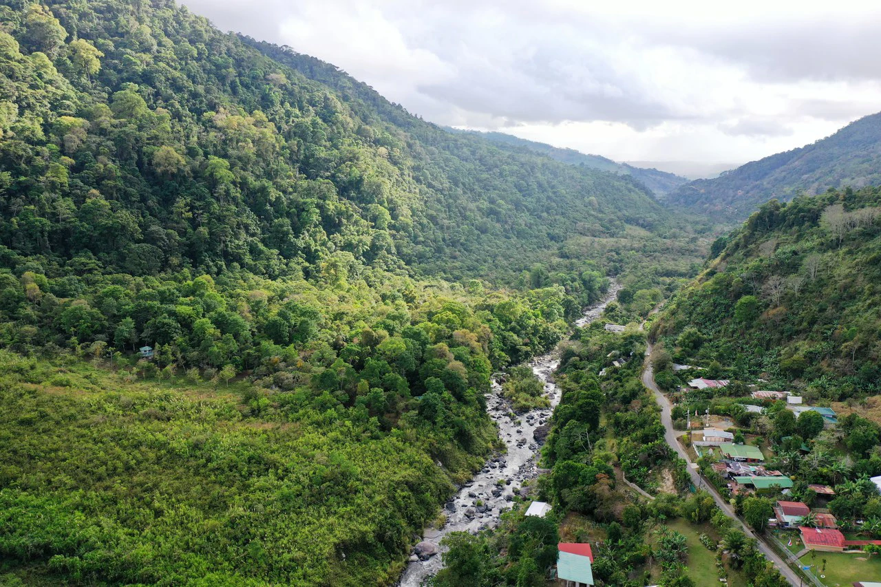 Canaan de Rivas 10 acres Above San Isidro - Gallery image 5