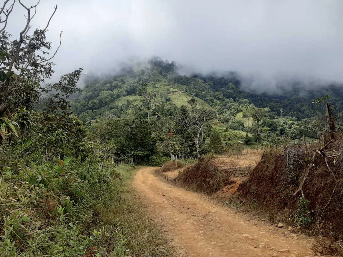 Finca Tesoro Escondido - The Jewel of Uvita - Gallery image 36