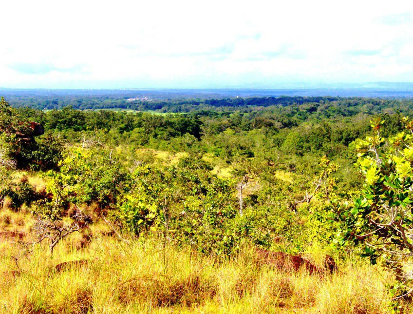 Colorado River Paradise Farm for Sale - Just 10 Minutes from Liberia - Gallery image 13